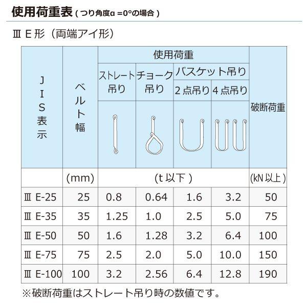 シライ PET3E-75X9.0 直送 代引不可 ポリエステルスリング PET3E 両端アイ形 2．5ton 幅75mm 長さ9m PET3E75X9.0_2