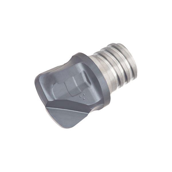 タンガロイ VFX160L01.1R30-02S10:AH725 【2個入】 直送 代引不可 VFX−02 VFX160L01.1R3002S10:AH725 16,784円