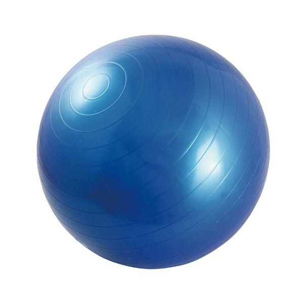 【個数：1個】ATC71123X5 直送 代引不可 5個セット ARTEC バランスボール