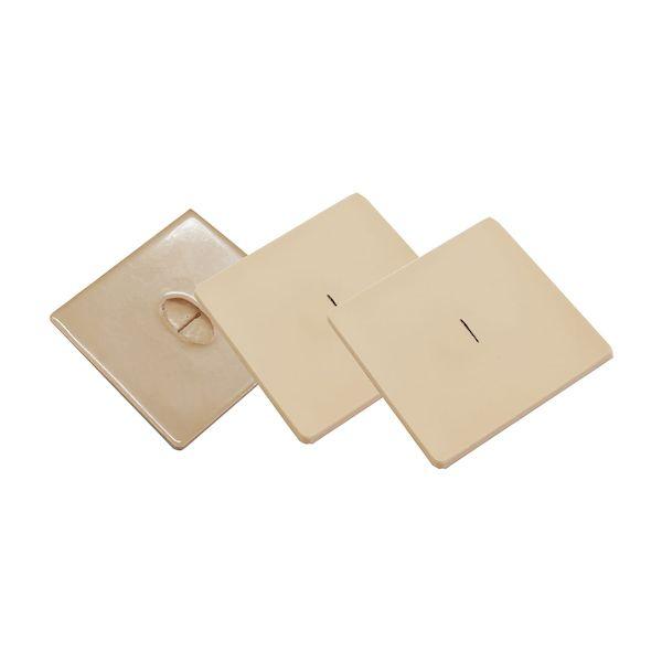 個数：1個】4530984403178 直送 代引不可 レジーナ ドレーン部処置