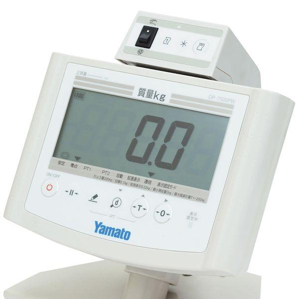 期間限定 希少ピラミッド HUGミューアnazoKヒーリングあ〜と気場補正コイル