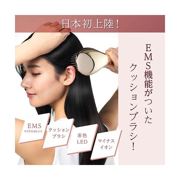 WH41-01-GD 直送 代引不可 セブンウェイブ WAVEWAVE EMSを搭載した