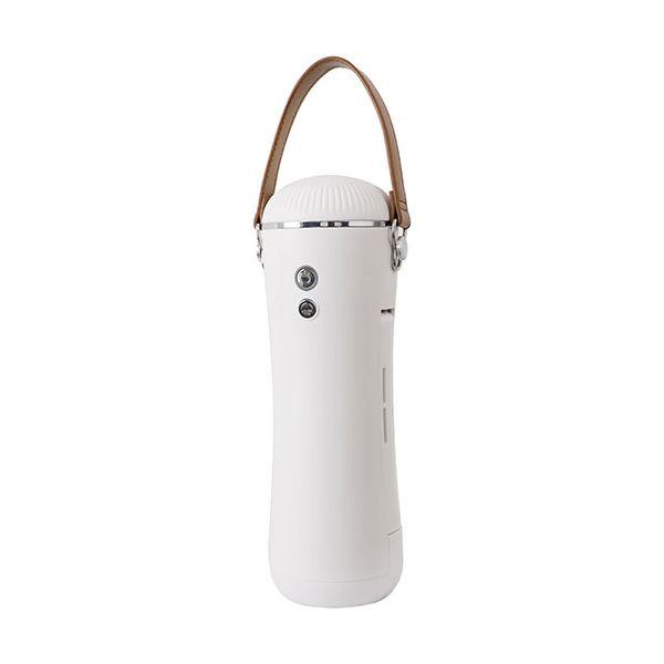 【個数：1個】SLI-CSH01 直送 代引不可 サイエルインターナショナル 2WAYハンガー型乾燥機 SLICSH01