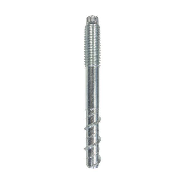 ＪＰＦ TP2-1210-50 タップスター 2 M12X100L TP2121050の通販は 14,890円