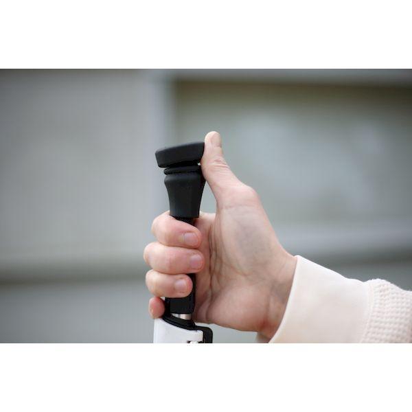 【個数：1個】自然舘 4988472350624 直送 代引不可 Dr．Catch Walker