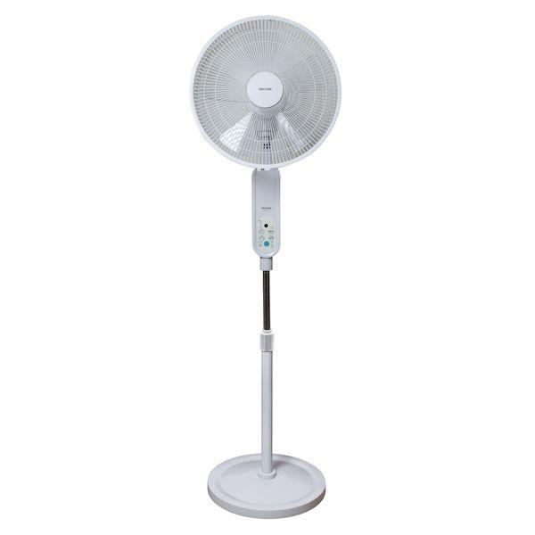 テクノス TEKNOS KI-F816R フロアー扇 40cm KIF816R