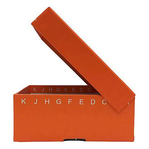 4-1866-04 ヒンジ開閉フリーザーボックス 10×10 オレンジ 5個入 R2700-O 4186604