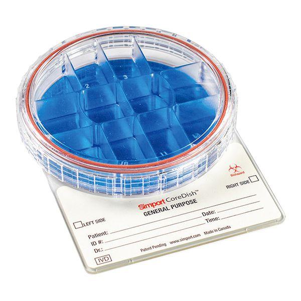 リアリズムの精髄,戸嶋但「水に」3号油彩,凄まじい緊迫感と写実 2025年