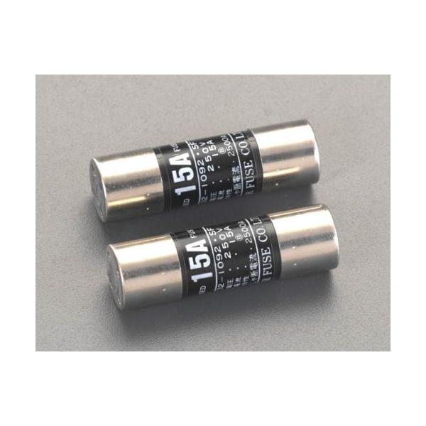 エスコ EA758ZV-9 40.0A×250V筒型エンクロヒューズ2本 EA758ZV9【キャンセル不可】