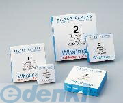 アズワン 2-317-10 定性角形濾紙No.１ ６０×６０ １００入 231710