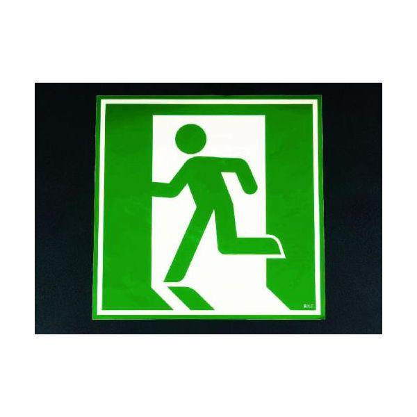 エスコ EA983AH-11 480x480mm蓄光式ドア用避難表示 EA983AH11【キャンセル不可】