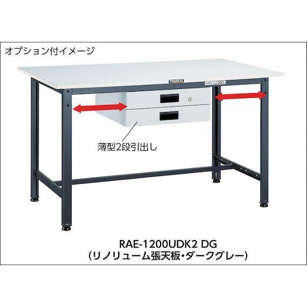 (直送品)TRUSCO RAE型作業台 1500X750XH740 RAE-1500 □TRUSCO RAE型作業台 1500X750XH740 2段引出付 ヤンググリーン色[法人