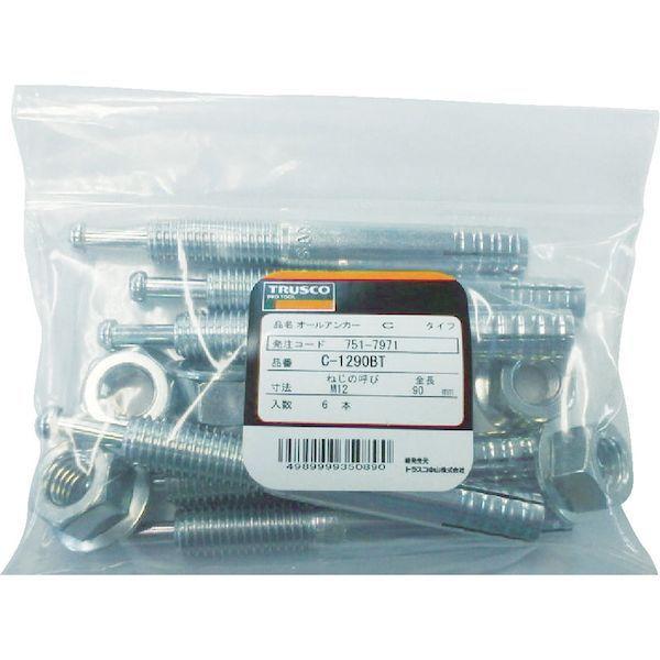 トラスコ中山 SC2013BT 直送 代引不可 オールアンカーＳＣタイプ ステンレス Ｍ２０Ｘ１３０ ２本入 コンクリート用アンカー／芯棒打込み式 SC-2013BT