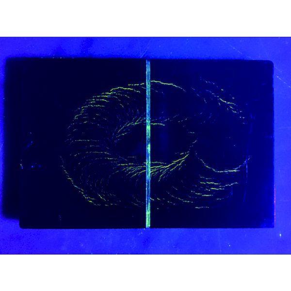 ｓａｇａ SL-LED8W-FL-UV ８ＷＬＥＤ紫外線ライトSLLED8WFLUV