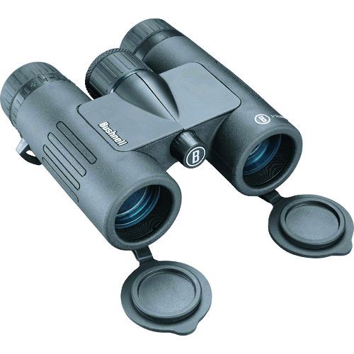 ブッシュネル Bushnell BP832B プライム８×３２