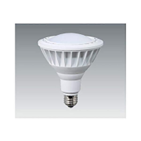 ハタヤリミテッド LDR20N-H110 ＬＥＤ作業灯 ２０Ｗ交換球昼白色広角タイプ LDR20NH110