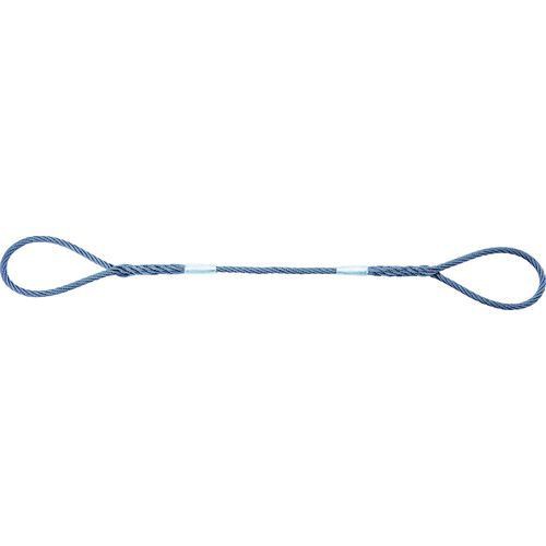 ＴＲＵＳＣＯ GRS-12S2 Ｗスリング ソフトタイプ ケーブルレイド １２ｍｍＸ２．０ｍ GRS12S2 tr-1150983の通販は