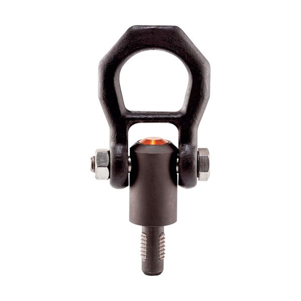 ＰＩＣＡＲＤ 22352.0030 ネジ山クランプ式リフティング・ピン 熱処理鋼