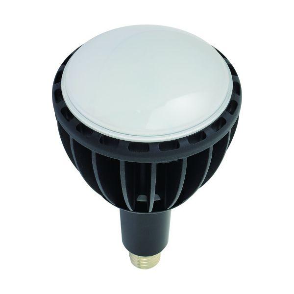 日動 L100W-E39J-WBK-50K LED交換球 エコビック100W E39 昼白色 ワイド L100WE39JWBK50K