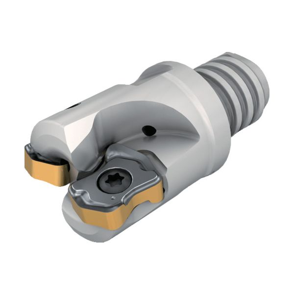 イスカル FFX4 ED16/.63-2-MMT10-04 ミーリング工具 ロジック4フィード エンドミルマルチマスターねじ式アダプター FFX4 ED−MM 刃数2枚 刃径16mm シャンク径16mの通販は