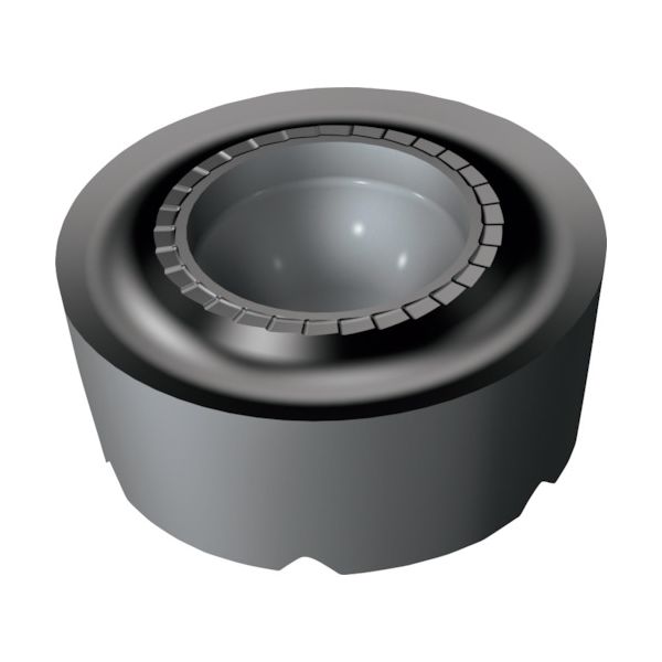 サンドビック RCMT 16 06 MP-M3（1105） 【10個入】 コロターン107 旋削用レール付きポジチップ 130 1105 RCMT1606MPM31105の通販は