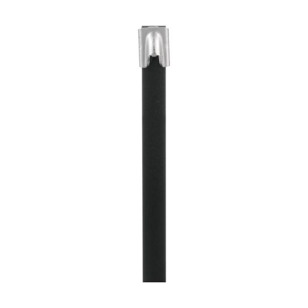 IMLTFC137H-C6L フルコーティングステンレススチールバンド ＳＵＳ３１６Ｌ 長さ４６２ｍｍ 幅７．９ｍｍ １００本入り ＩＭＬＴＦＣ１３７