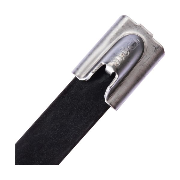 IMLTFC203S-C6L フルコーティングステンレススチールバンド ＳＵＳ３１６Ｌ 長さ６７９ｍｍ 幅４．６ｍｍ １００本入り ＩＭＬＴＦＣ２０３_3