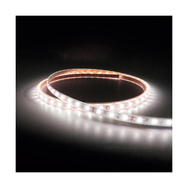 トライト TLVD+502-16.6P-2 LEDテープライト Viewdi Plus DC24V 16．6mmP 5000K 2m巻 TLVD+50216.6P2の通販は