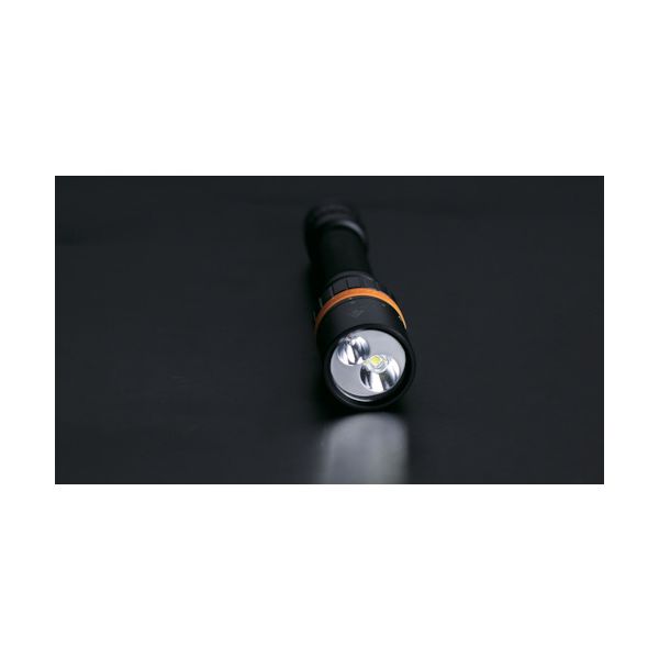 ＦＥＮＩＸ SD20 LEDライト_1