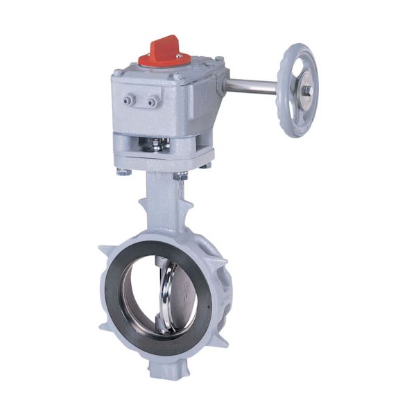 巴バルブ 304YA-2U-65-S-R バタフライバルブ ＪＩＳ１０Ｋ／６５Ａ ３０４ＹＡ−２Ｕ ＳＣＳ１３Ａ／ＳＣＳ１３Ａ／Ｒ−ＰＴＦＥ ギア 3