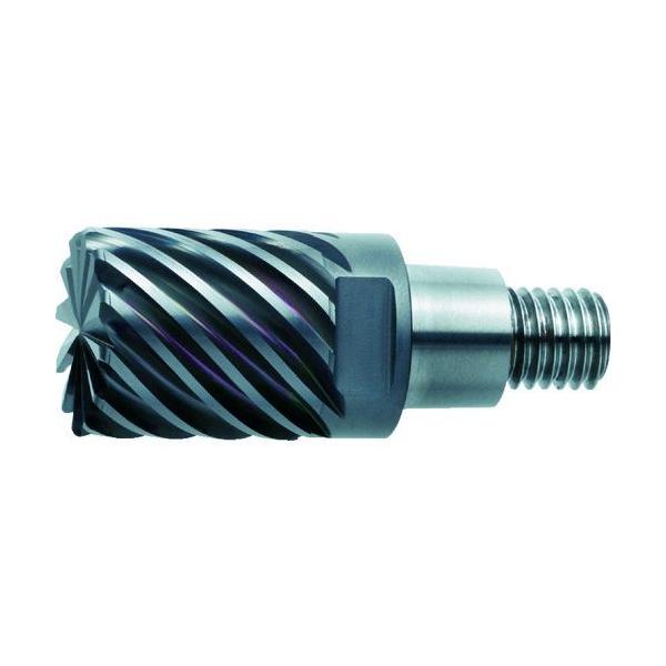 三菱マテリアル 工具 三菱 IMX12C6HV120R10012 先端交換式EMヘッド【VQ】 664-6131【キャンセル不可】