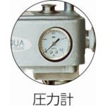 【個人宅配送不可】【個数：1個】アクア  APD-20SUSN  直送 代引不可・他メーカー同梱不可 吐出専用 エア式ステンレス製ドラムポンプ 加圧式 APD20SUSN 455-0293の通販は