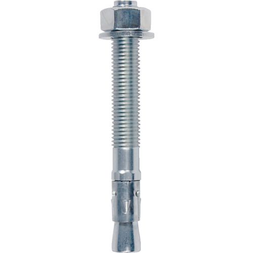 フィッシャージャパン フィッシャー 45575 ボルトアンカー ＦＢＮ２ ２０／８０ １０本入