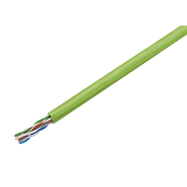 JAPPY ジャッピー TPCC5 0.5MM X 4P ﾜｶｸｻ JP 【300個入】 Cat5e LANケーブ