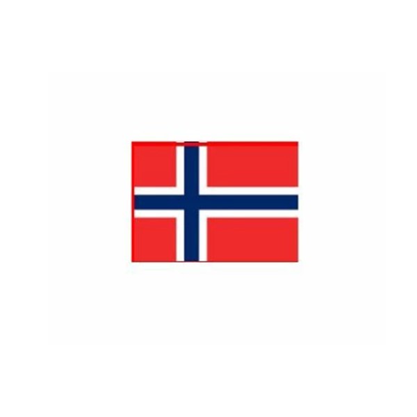 個数：1個】4580490662019 直送 代引不可 ノルウェー パネルヒーター