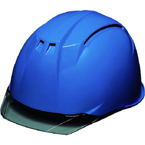 ＤＩＣ AA11EVO-C-HA6-KP-B/S 透明バイザーヘルメット　ＡＡ１１ＥＶＯ−Ｃ　ＫＰ　スカイブルー／スモーク AA11EV