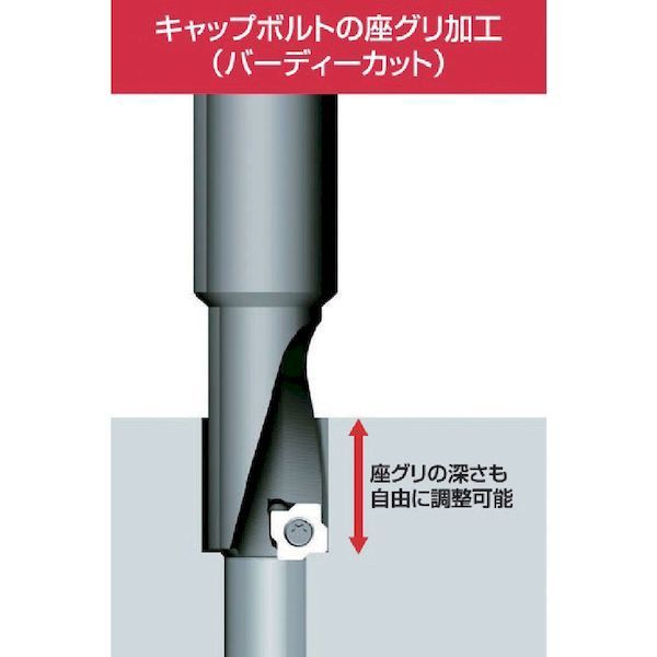 富士元工業 BC32-32XS-M20 座ぐりカッター バーディカット Ｍ２０ シャンク径３２ｍｍ 全長１４４ｍｍ BC3232XSM20 FUJIGEN