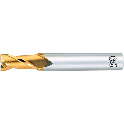 オーエスジー OSG EX-TIN-EDS-21 ハイスエンドミル ＴＩＮ ２刃ショート ２１ ８８０３１ EXTINEDS21 631-4147