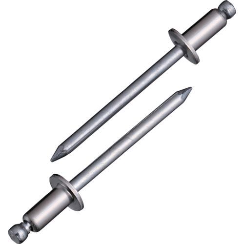 ロブテックス（LOBSTER） ［NSS 6-4EB］ ブラインドリベット ステンレス／スティール製 ６−４ １５０本入 エコＢＯＸ NSS64EB エビの通販は