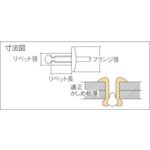 ロブテックス LOBSTER NSS 8-6 ブラインドリベット ステンレス／スティール製 ８−６ ５００本入 箱入 NSS86 ブラインドリベット エビ ス_8
