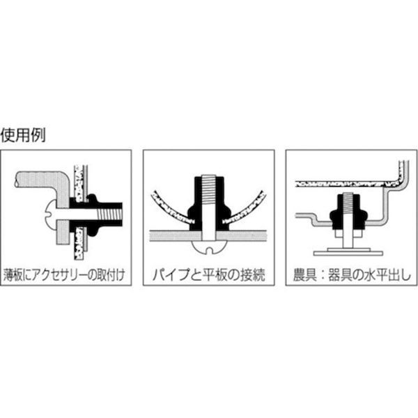 エビ［NTK4M35］ ブラインドナット“ナット” 薄頭・ステンレス製 板厚３．５ Ｍ４×０．７ ２００個入 ロブテックス LOBSTER tr-3725685