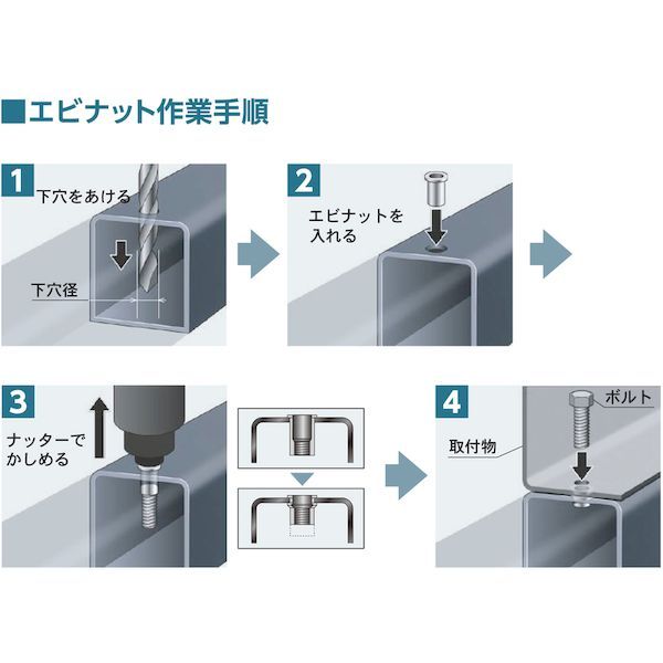 エビ［NTK4M35］ ブラインドナット“ナット” 薄頭・ステンレス製 板厚３．５ Ｍ４×０．７ ２００個入 ロブテックス LOBSTER tr-3725685