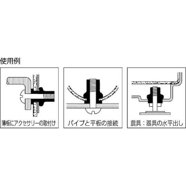 エビ［NTK4M35］ ブラインドナット“ナット” 薄頭・ステンレス製 板厚３．５ Ｍ４×０．７ ２００個入 ロブテックス LOBSTER tr-3725685