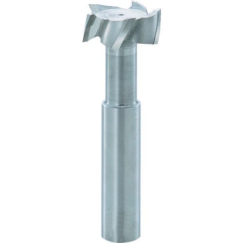 フクダ精工 TSE20X5 Ｔスロットエンドミル２０×５ TSE-20X5 261-4324の通販は 14,057円