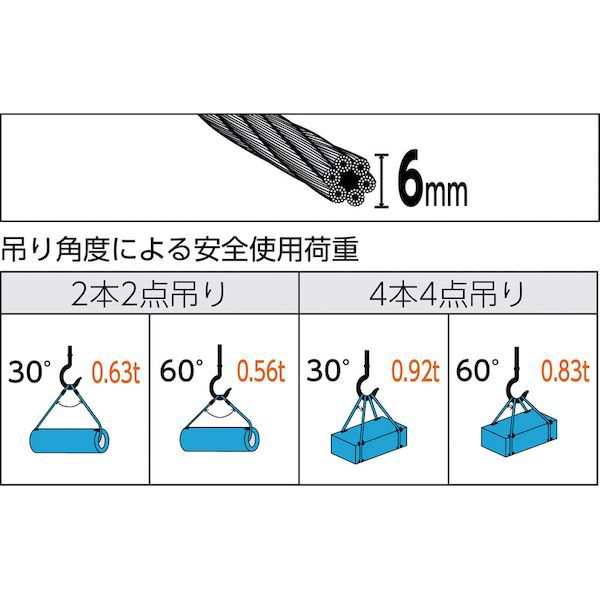 トラスコ中山（ＴＲＵＳＣＯ） ［TWD6S2］ 玉掛けワイヤーロープ 段落し 6mmX2mの通販はau PAY マーケット -  測定器・工具のイーデンキ | au PAY マーケット－通販サイト