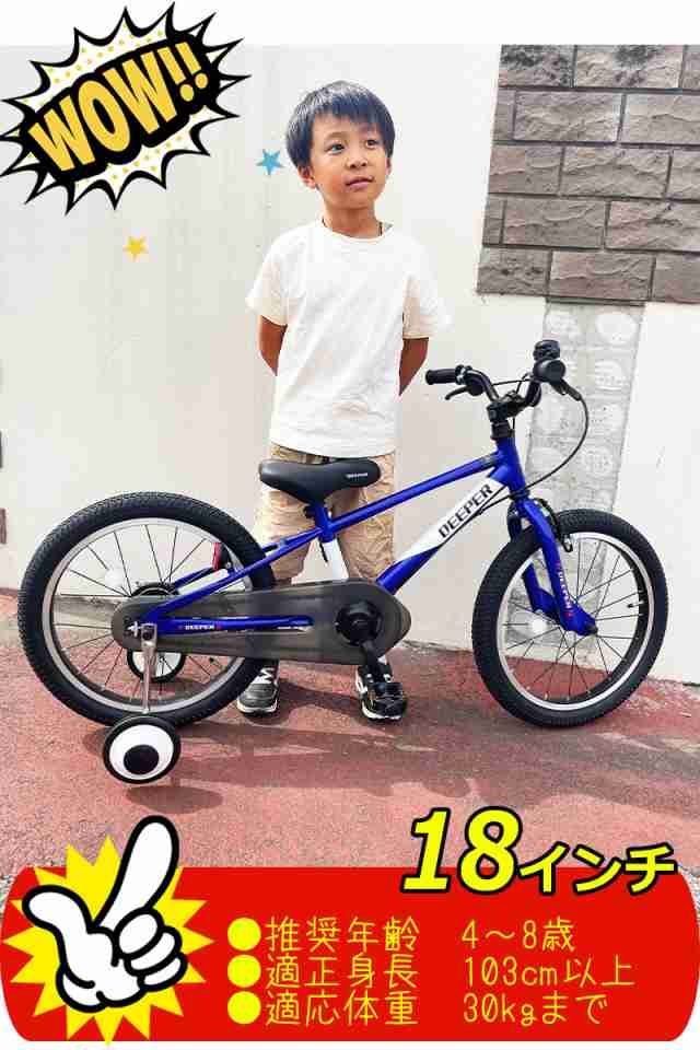 自転車 子供用自転車 18インチ BMXタイプ 幼児用自転車 D-18TPB 補助輪