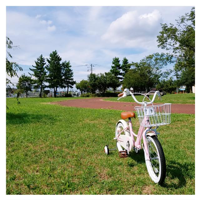自転車 子供用自転車 16インチ DEEPER DE-001 補助輪 カゴ付き 子ども
