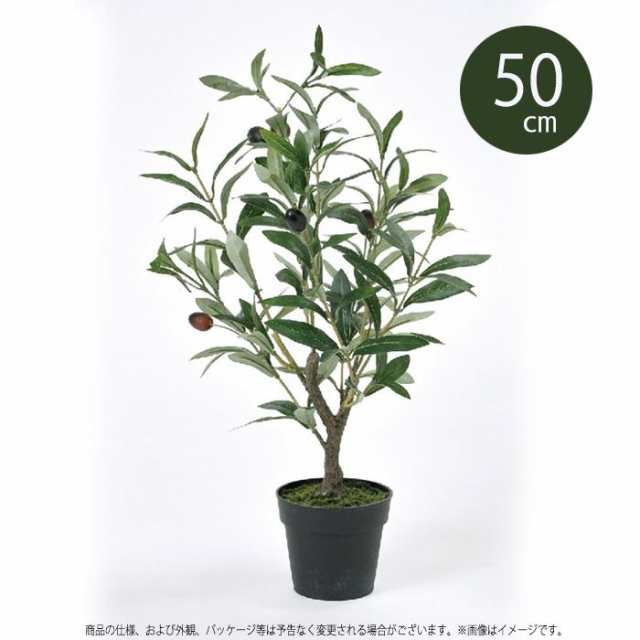 フェイクグリーン リアル フェイク観葉植物 フェイクグリーン オリーブ 50ｃｍ 鉢植え 観葉植物 グリーン オリーブの木 インテリアの通販はau Pay マーケット やるcan