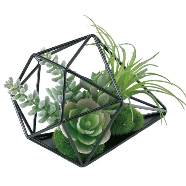 フェイクグリーン リアル フェイクテラリウム フェイクグリーン テラリウム 多肉アレンジドロップ 多肉植物 グリーン インテリア 装飾の通販はau Pay マーケット やるcan