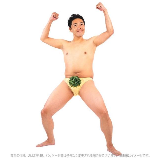 宴会の達人 もじゃもじゃ葉っぱパンツ はっぱ 葉 お笑い ネタ ジョークグッズ パーティーグッズ 宴会芸 仮装 変装 おもしろの通販はau Pay マーケット やるcan